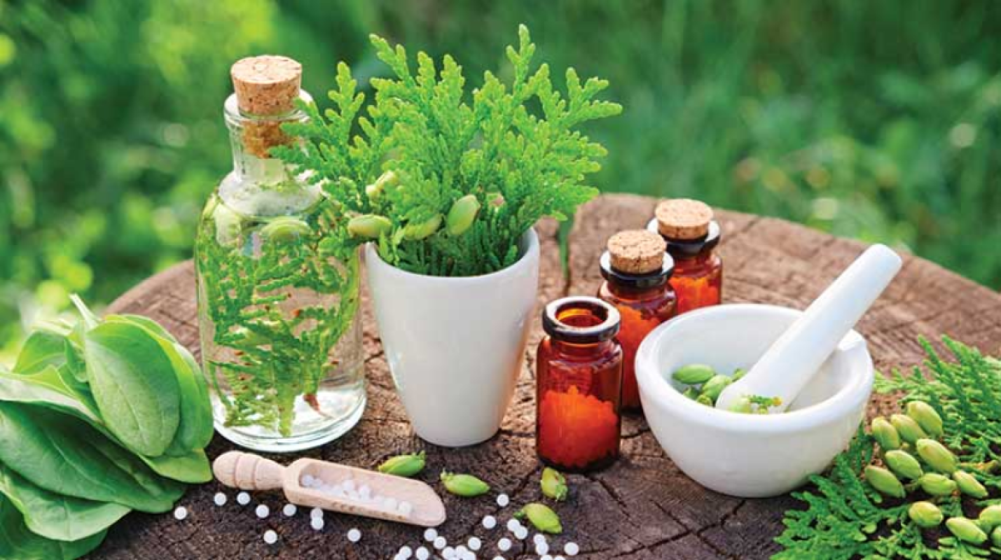 Ayurvedic/Homeopathic Consultation